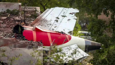 Indian-American professor slammed for blaming ‘reservation’ for Air India crash: ‘Freeloaders are more important’