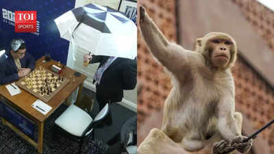 As India readies to host Chess World Cup, Nationals witness monkey invasion, power cuts and leaking tents | Chess News